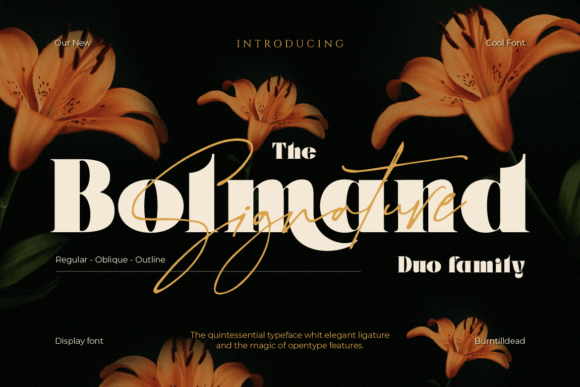 Bolmand Signature: A Designer's Real-World Take