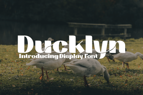 Ducklyn: A Modern Display Typeface for Editorial Design